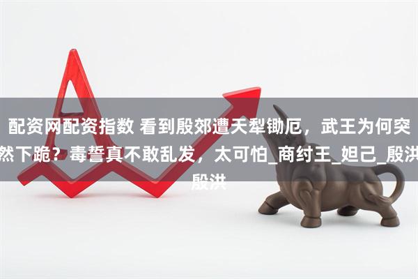配资网配资指数 看到殷郊遭天犁锄厄，武王为何突然下跪？毒誓真不敢乱发，太可怕_商纣王_妲己_殷洪