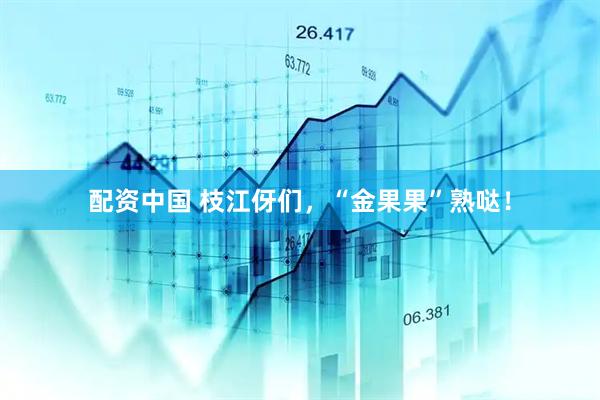 配资中国 枝江伢们，“金果果”熟哒！